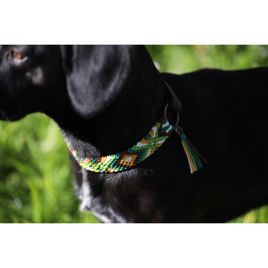 Paracord Hundehalsband mit Fettleder – Handgemacht & individuell