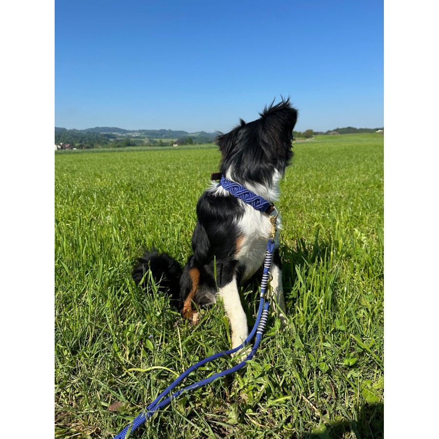 Makramee Hundehalsband „Indigo“ – handgemacht aus Paracord & Fettleder