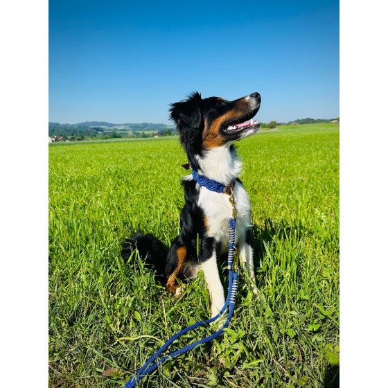 Makramee Hundehalsband „Indigo“ – handgemacht aus Paracord & Fettleder