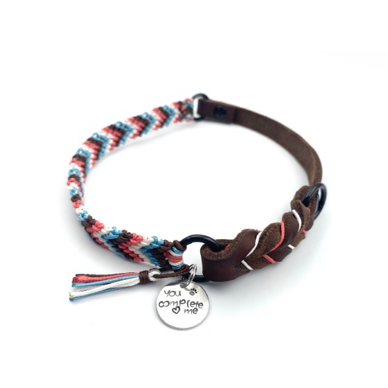 Hundemarken-Halsband "Friendship"