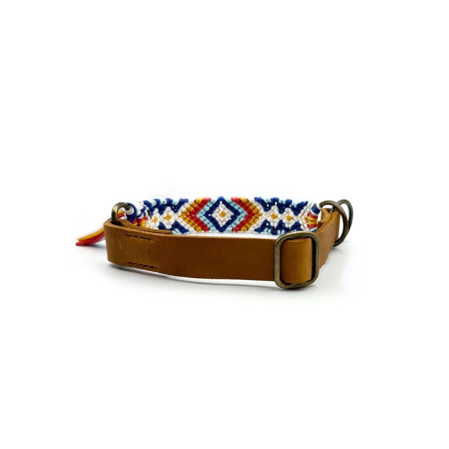 Paracord Hundehalsband mit Fettleder – Handgemacht & individuell