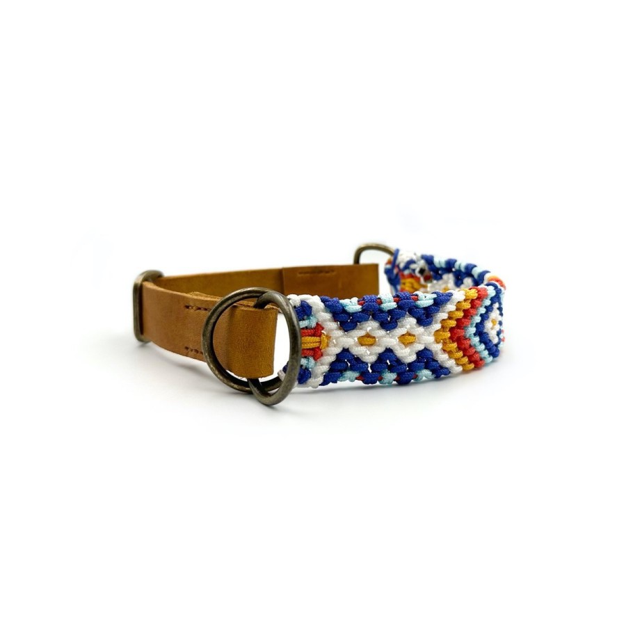 Paracord Hundehalsband mit Fettleder – Handgemacht & individuell