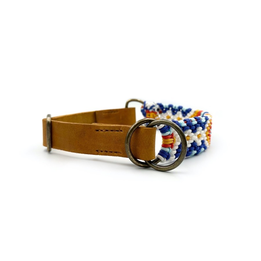 Paracord Hundehalsband mit Fettleder – Handgemacht & individuell