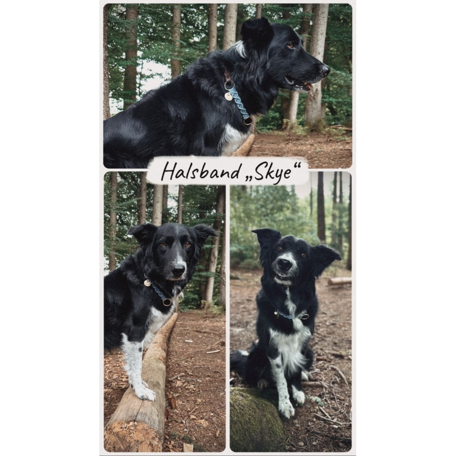 Freundschafts-Halsband „Skye“ – leichtes Zugstopp für kleine Hunde
